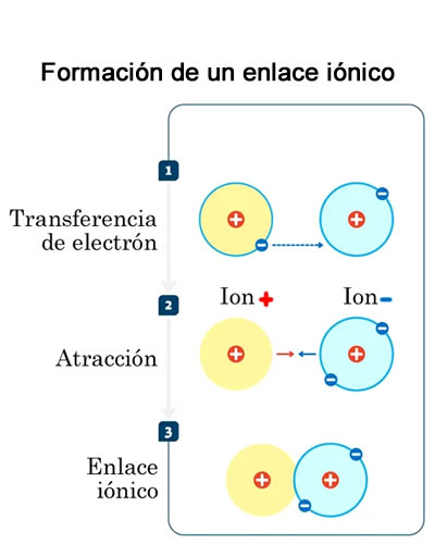 Enlace iónico